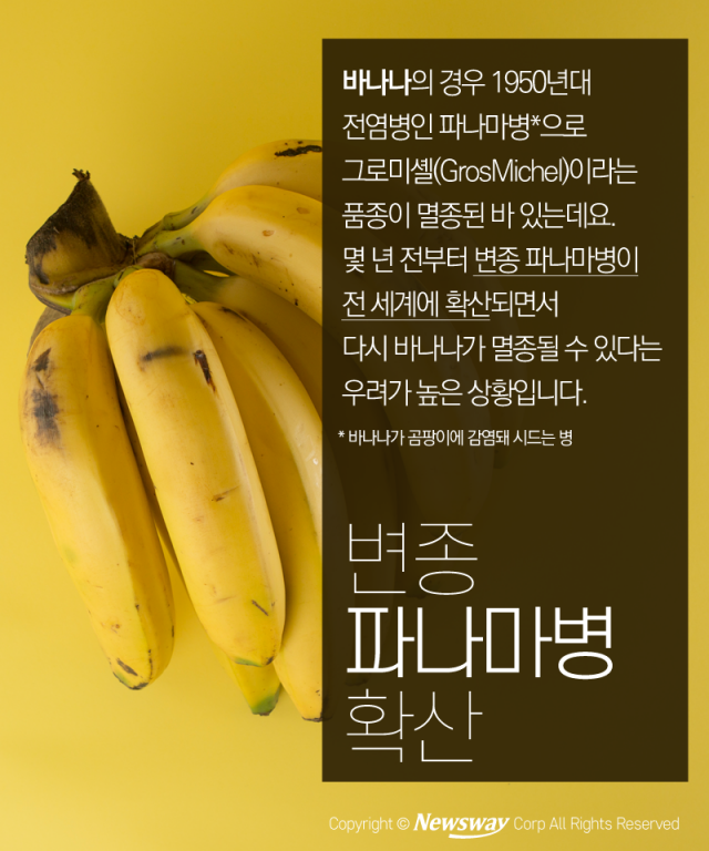 초콜릿커피 이미지