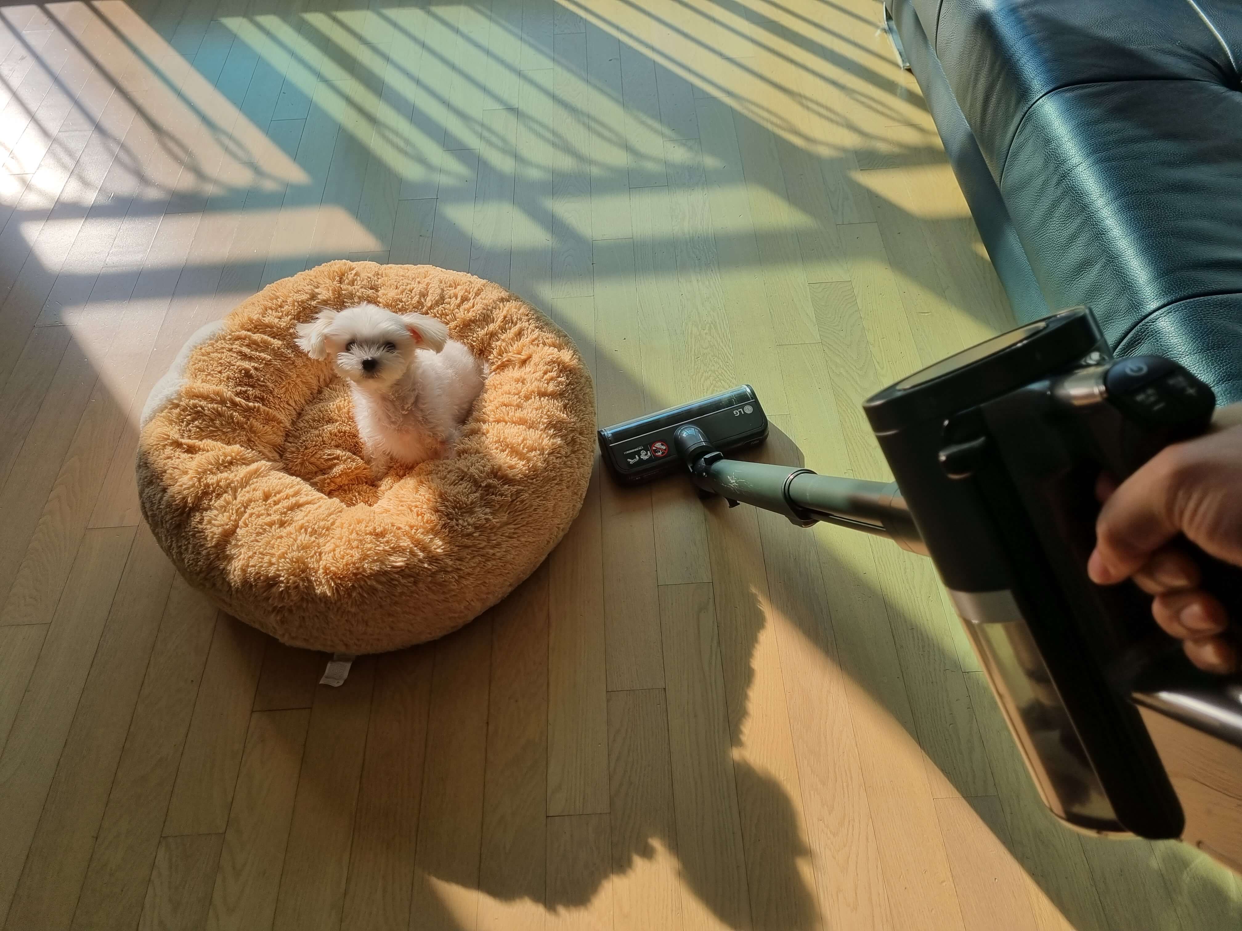  엘지 무선청소기 오브제 9671 9471 5개월 사용 후기
