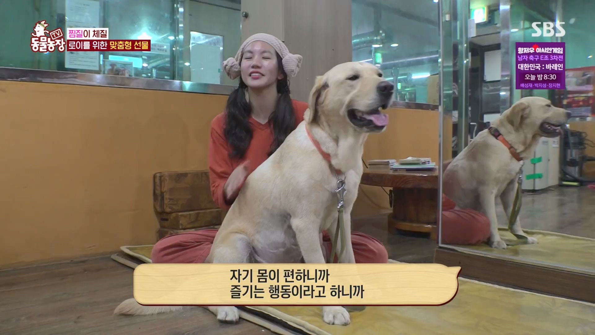 TV 동물농장.E1139.230924p.H264-F1RST.mp4_20230924_172330.895.jpg
