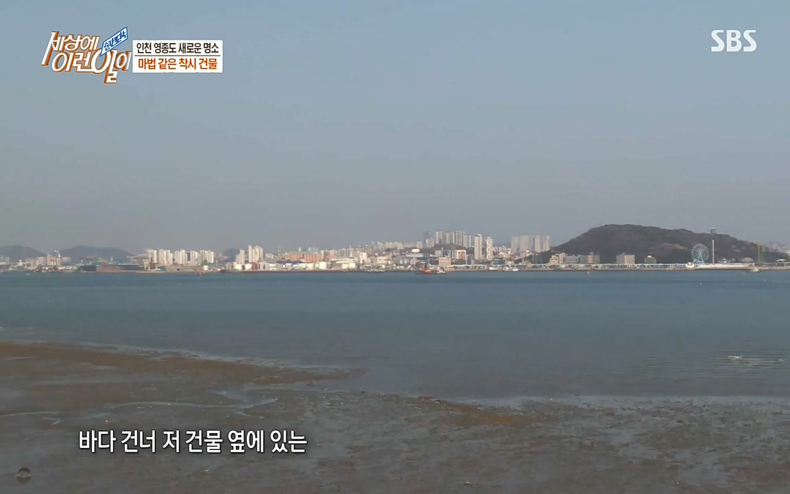 순간포착 세상에 이런일이.E1176.220420p-NEXT.mp4_20220420_175810.636.jpg