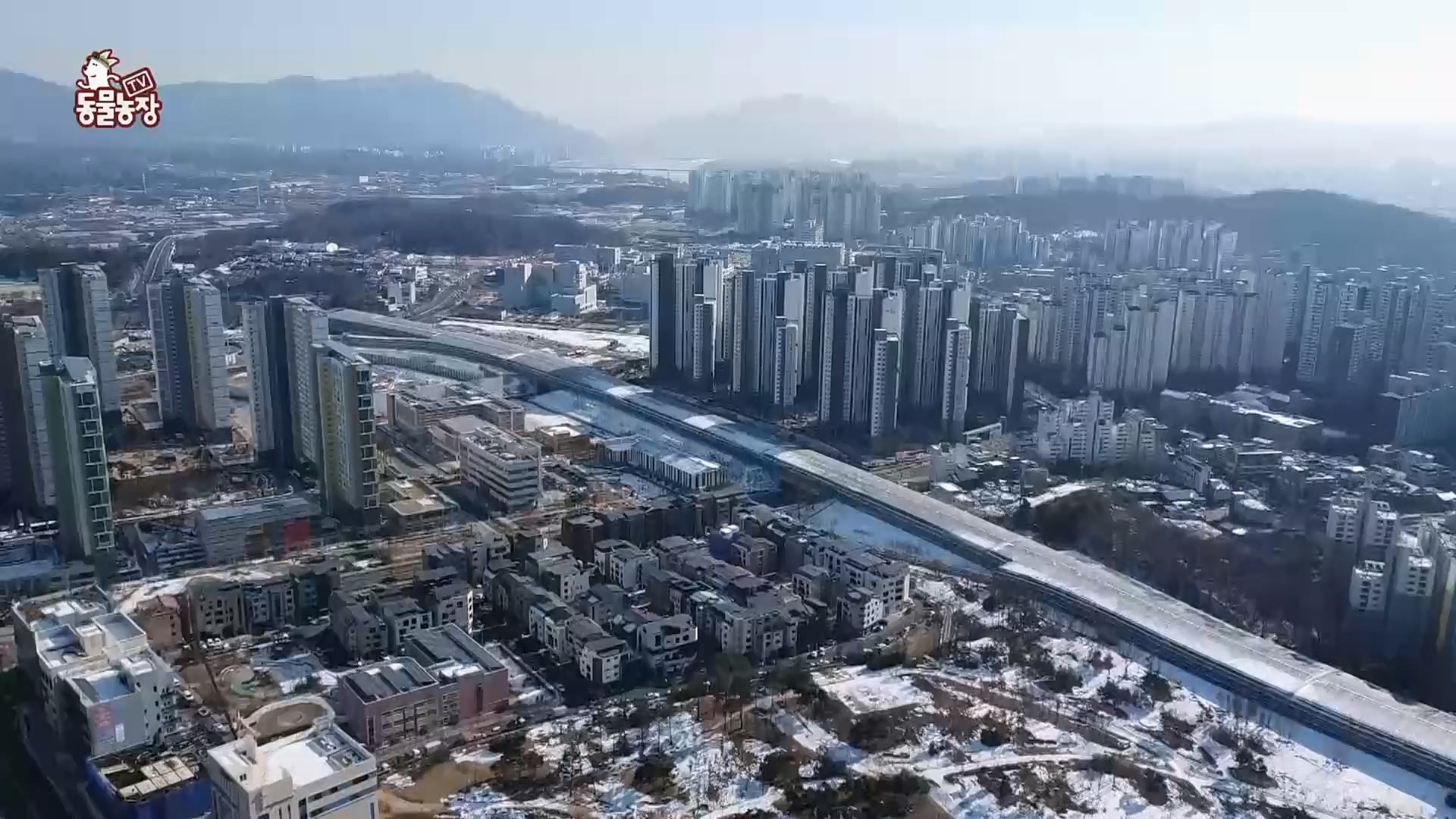 TV 동물농장.E1107.230205p.H264-F1RST.mp4_20230205_173929.213.jpg