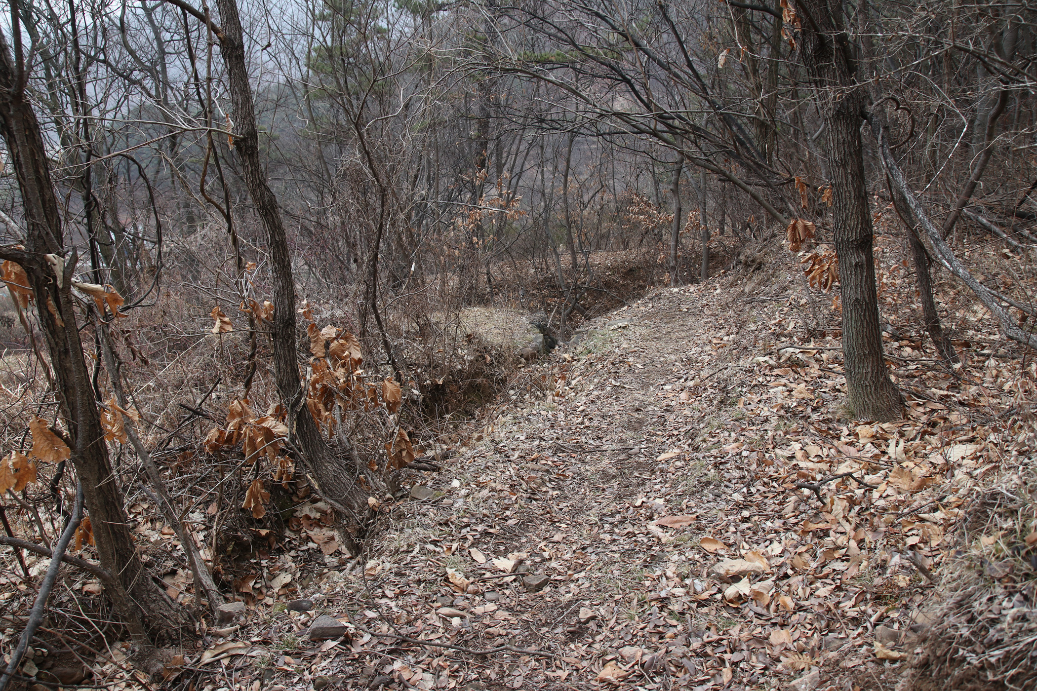 경남 의령군 국사봉 05 63