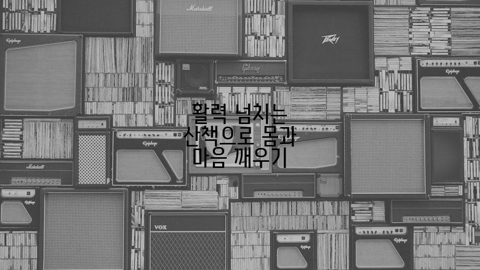 활력 넘치는 산책으로 몸과 마음 깨우기