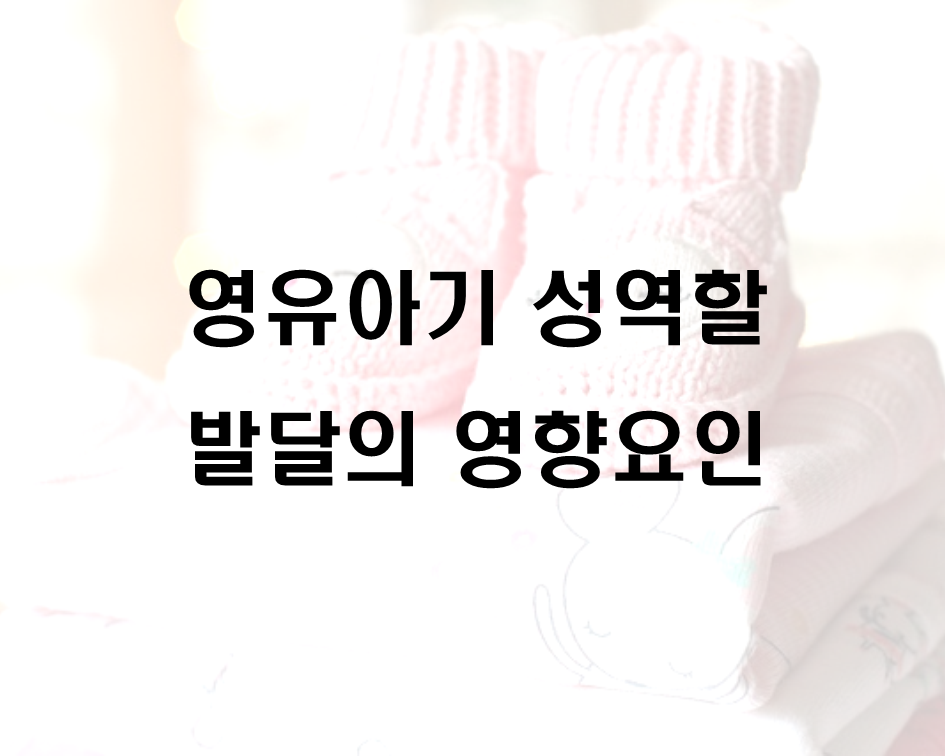  영유아기 성역할 발달의 영향요인