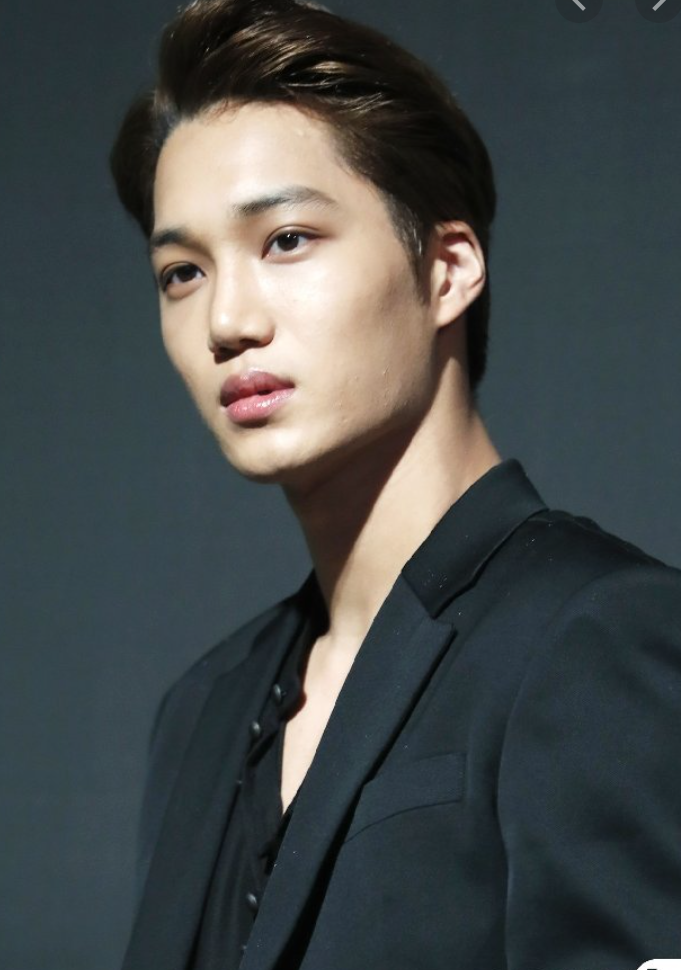  엑소 카이 나혼자산다 출연 관심 숨바꼭질 카이 키 본명 고향 인스타그램