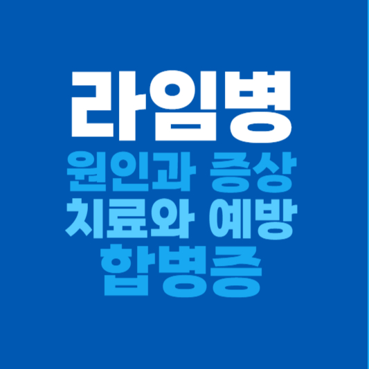 라임병 원인과 증상