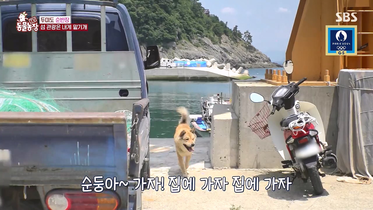 TV 동물농장.E1181.240722p-NEXT.mp4_20240721_165540.143.jpg