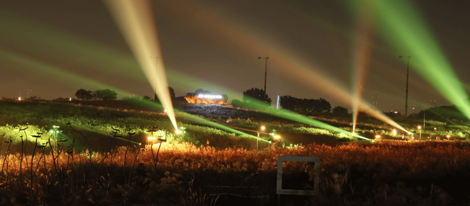 서울 하늘공원 억새축제 기간&#44; 꿀팁 완벽 정리