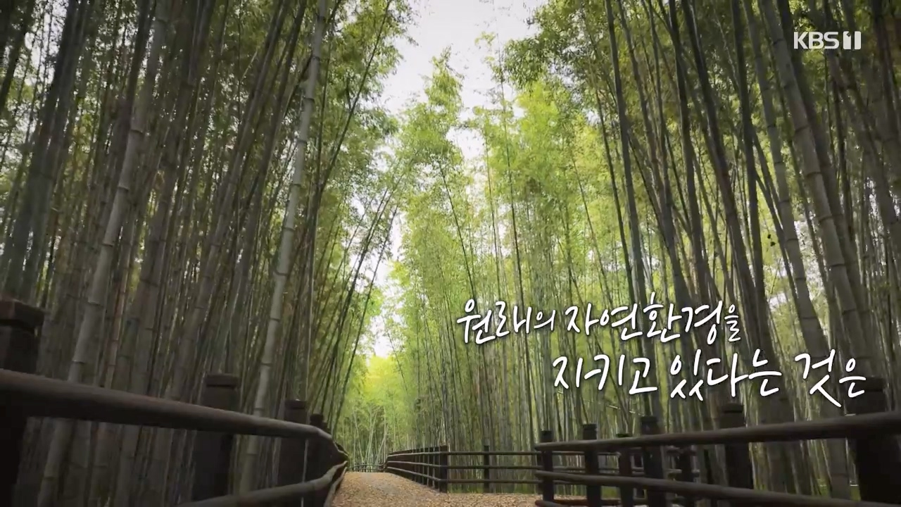 다큐 온.E206.230723p-NEXT.mp4_20230724_212005.494.jpg