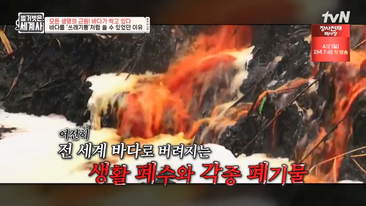 벌거벗은 세계사.E90.230315p-NEXT.mp4_20230419_203940.840.jpg