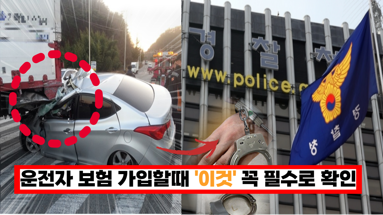  '이것 몰랐으면 손해 볼듯' 운전자 보험 들때 '이건' 꼭 확인하세요. 잘못하면 감옥갈수도 있어요.