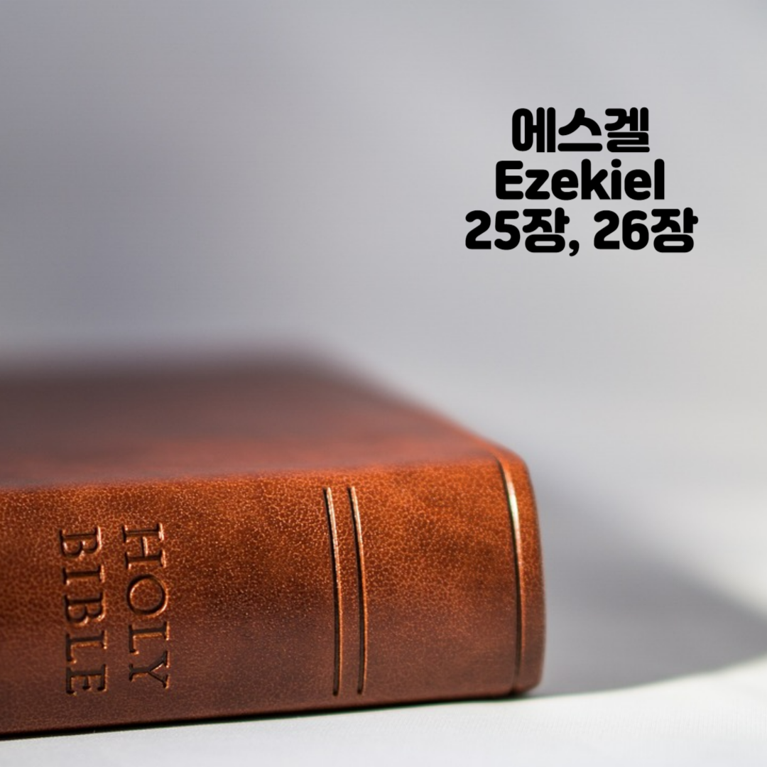 Holy BIBLE 생명의 삶 영어 한글 성경 말씀 - 에스겔(Ezekiel) 25장&#44; 26장
