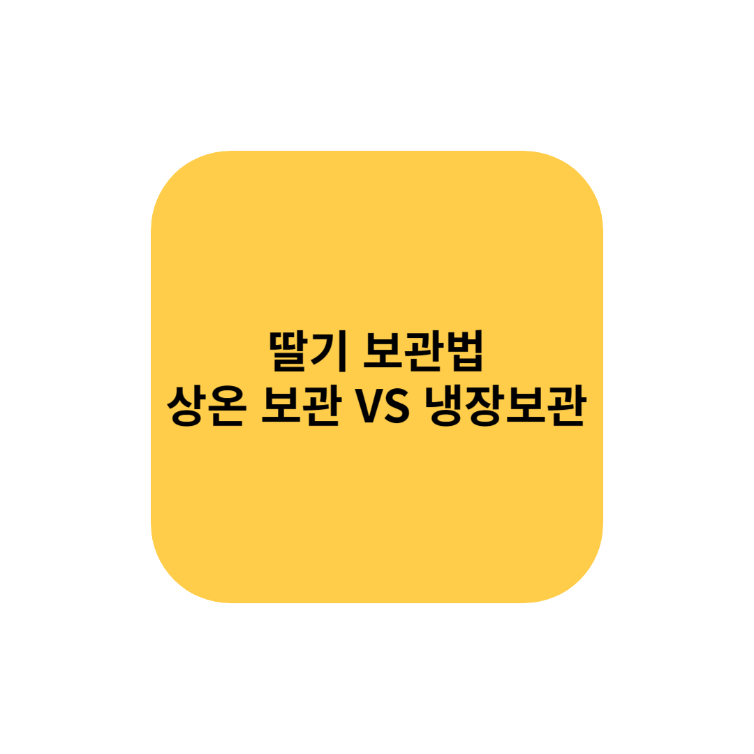 딸기 보관법