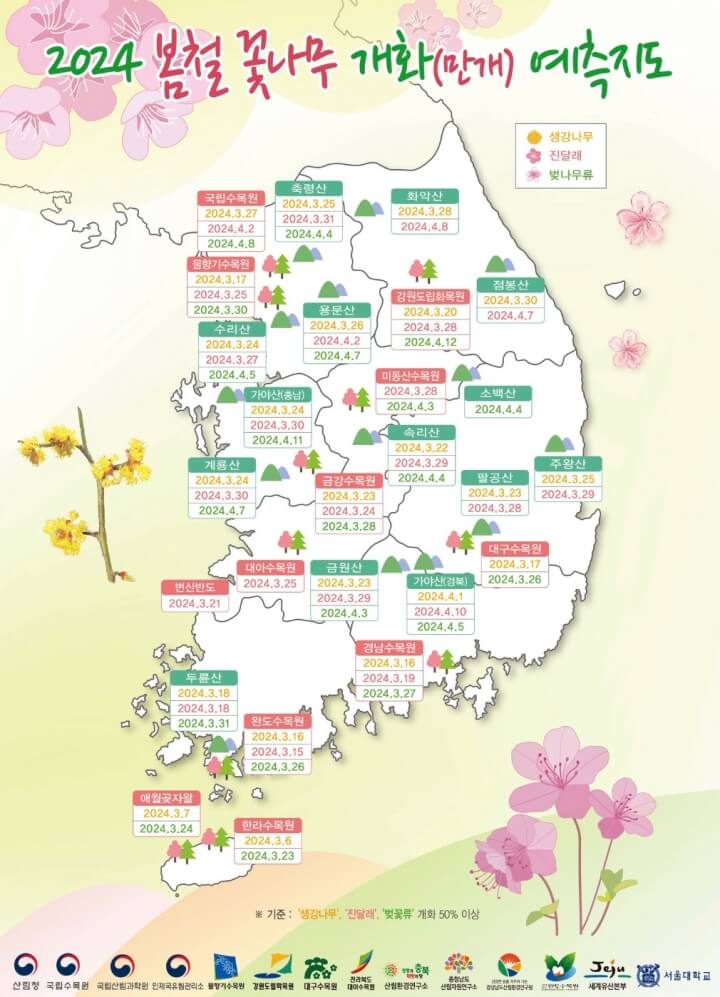 벚꽃-개화-시기