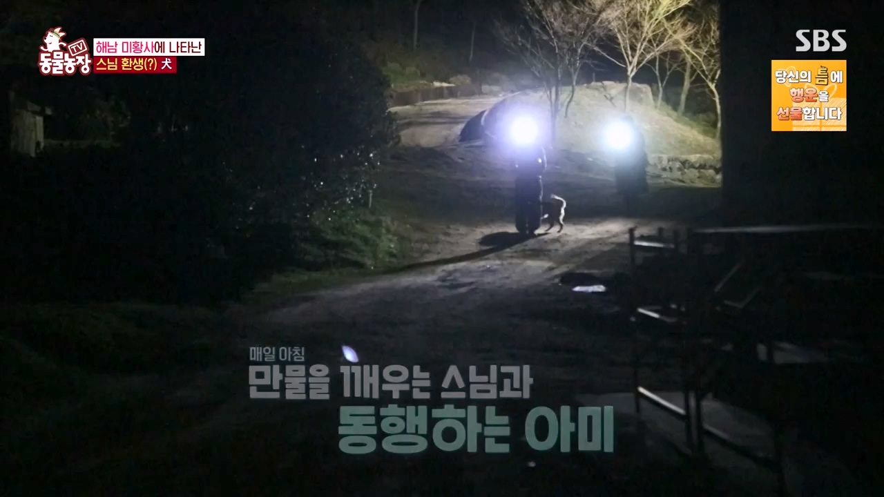 TV 동물농장.E1168.240422p-NEXT.mp4_20240421_170930.801.jpg