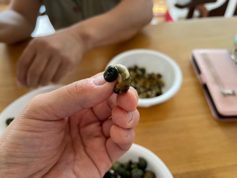 보말 미역국 <제주 한달살이> 8