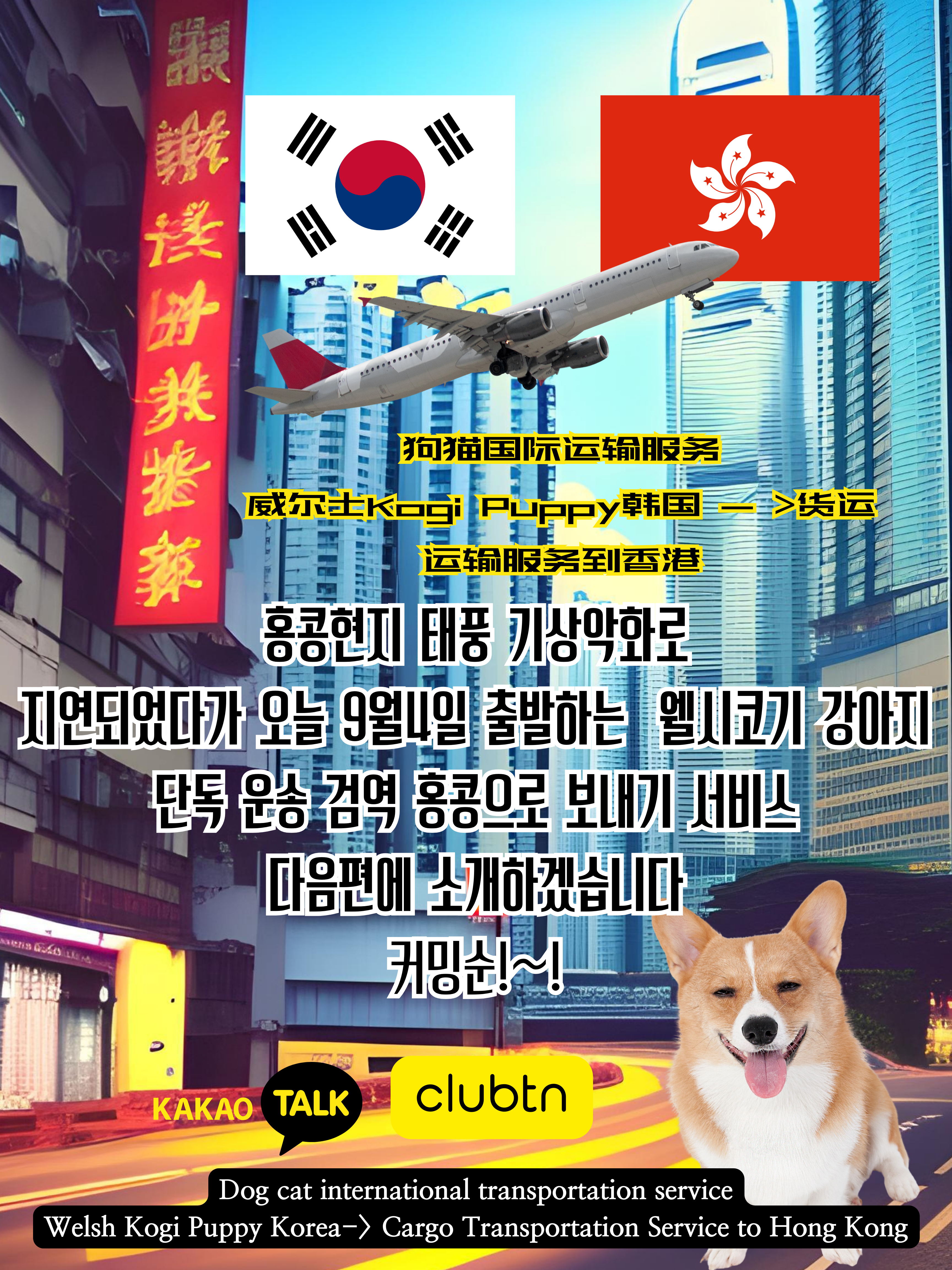  강아지해외운송 고양이해외운송 대형견해외운송 Dog Cat South Korean Quarantine Service Dog Cat South Korea Cargo Service Dog Cat South Korea International Transportation Service 개해외운송 개검역 개국제수송 강아지필..