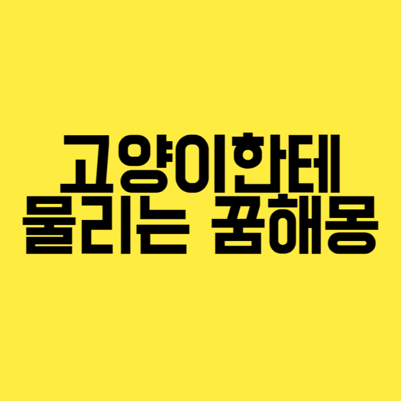 고양이한테 손 물리는 꿈해몽