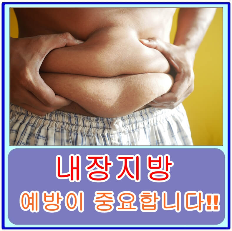  내장지방 빼는 방법을 알고 싶다면? 운동과 음식, 생활 습관, 주의할 점을 모두 공개합니다.