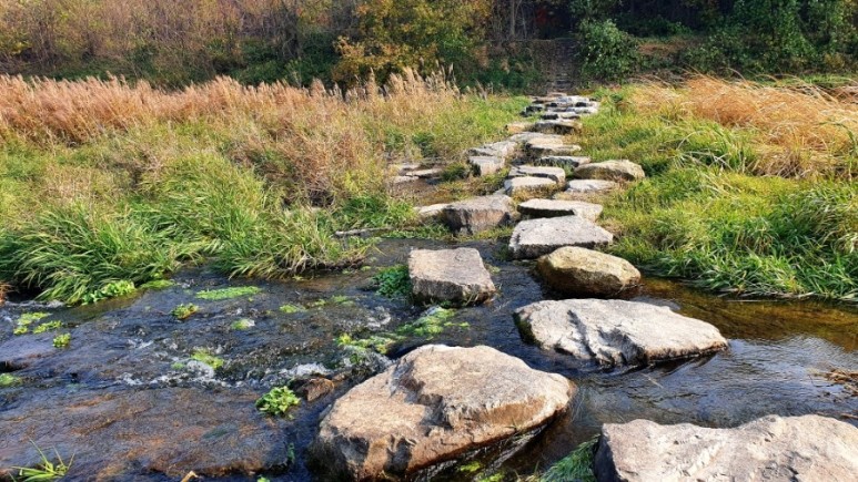 - 수덕사, 명상치유림길과 수암산의 가을 예산으로 볼거리, 단풍여행 34