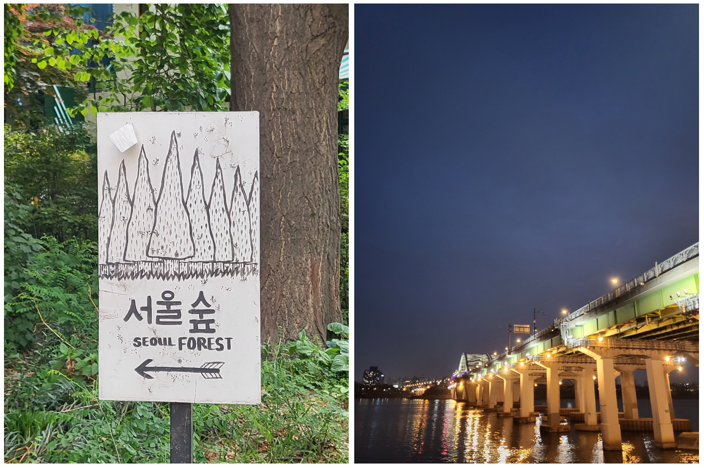 서울숲-팻말(좌)-서울-한강(우)