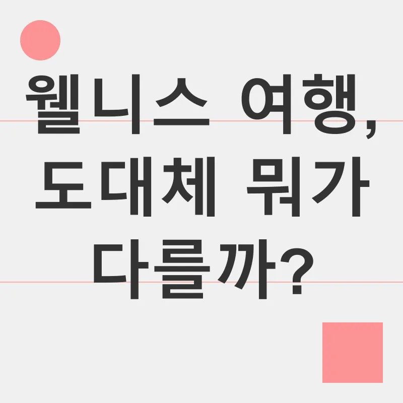 웰니스 여행_1