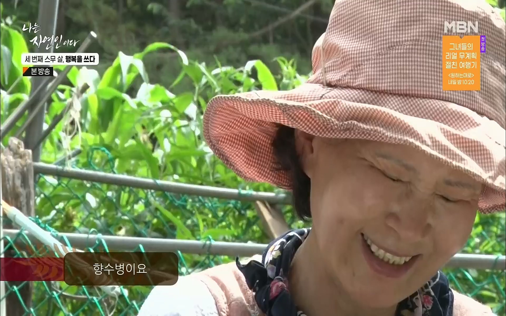 나는 자연인이다.E516.220824p.H264-F1RST.mp4_20220825_164138.799.jpg