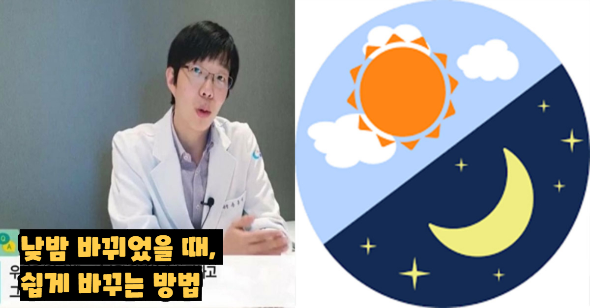  의사가 말하는 낮과 밤이 바뀌었을 때 다시 돌리는 아주 간단한 방법