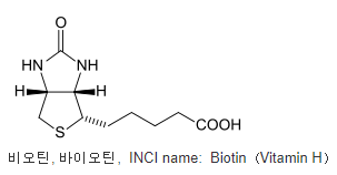 바이오틴 성분 효능
