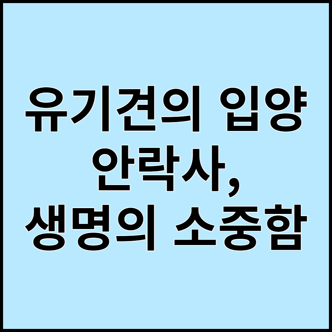  유기견 입양,보호소,안락사 생명의 존엄성