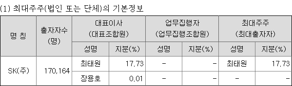 SKC 최태원