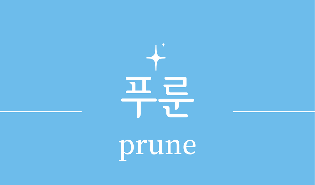 &#39;푸룬&#44;프룬(prune)&#39;