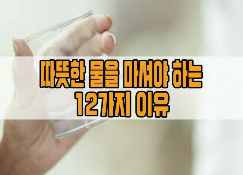  따뜻한 물을 마셔야 하는 12가지 이유