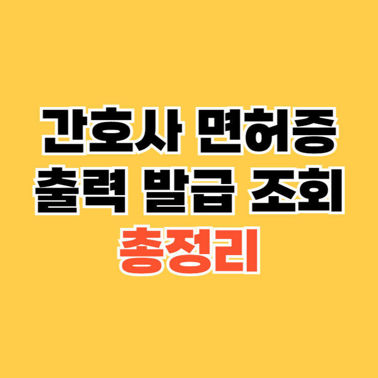 간호사-면허증-출력-발급-조회