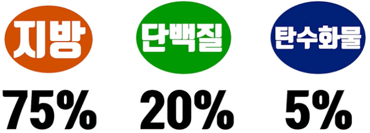 저탄고지식단구성은탄수화물5%지방75%단백질20%라는사진