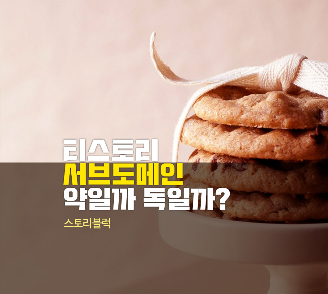  티스토리 2차 도메인 연결은 웬만하면 하지 마세요.