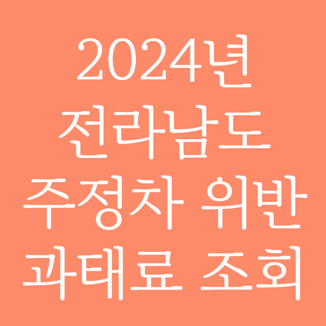 2024년 전라남도 주정차 위반 과태료 조회하기