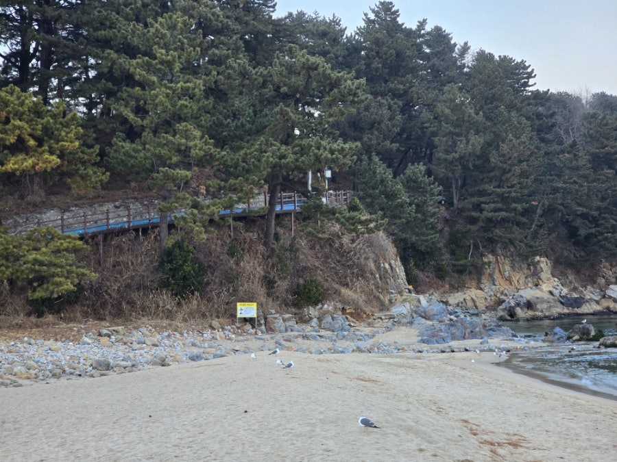 동해제빵소 이미지