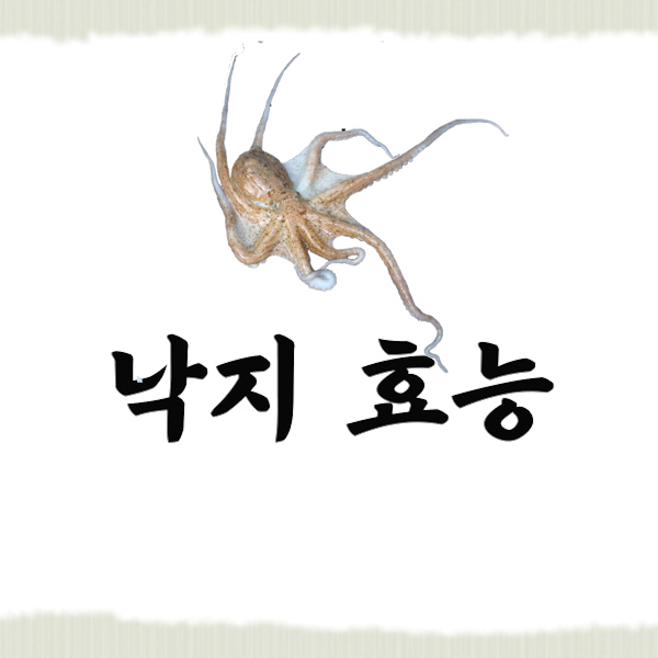 낙지 썸네일