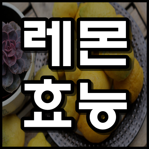  레몬 효능 , 레몬물 효능 과 만들기 까지