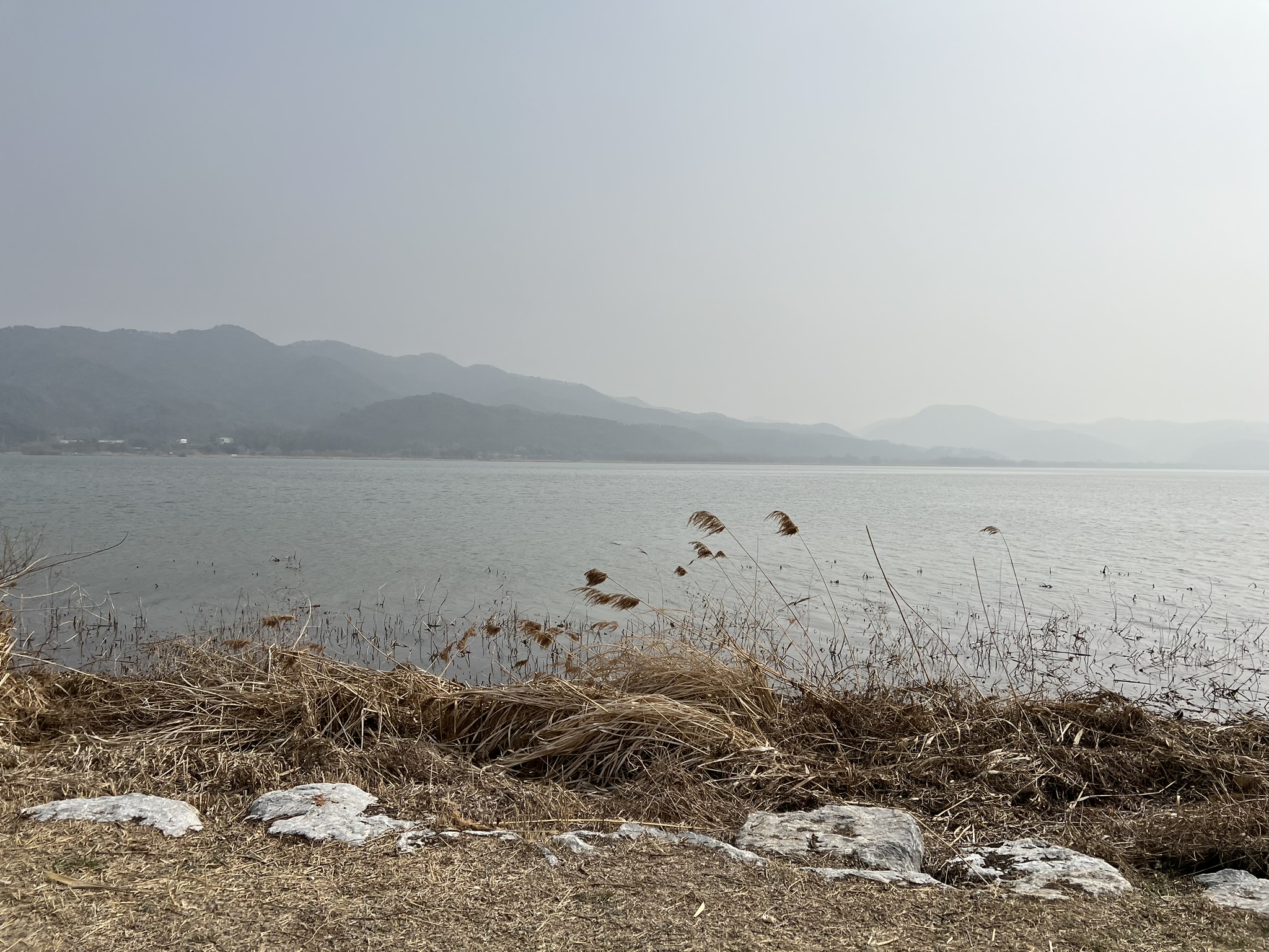 17일차 - 건강을 위해 산책, 4