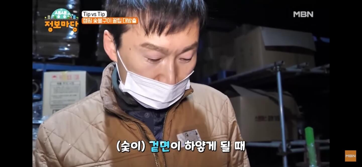 캠핑-숯-추천