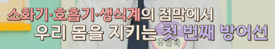 락토페린 역할