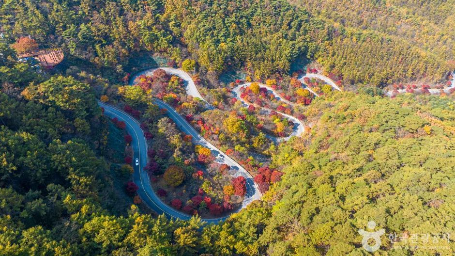가을 단풍 여행 지도(3) - 충청도 - 장태산&amp;#44; 대둔산&amp;#44; 신성리갈대밭&amp;#44; 보발재&amp;#44; 문광저수지&amp;#44; 말티재 추천지 6곳!!8