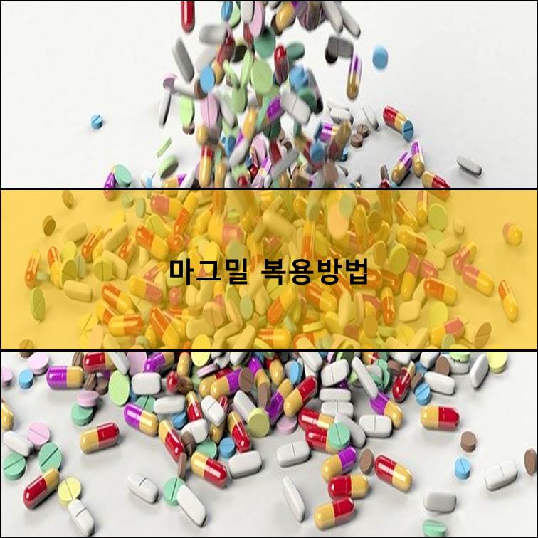  변비에 좋은 마그밀 복용법