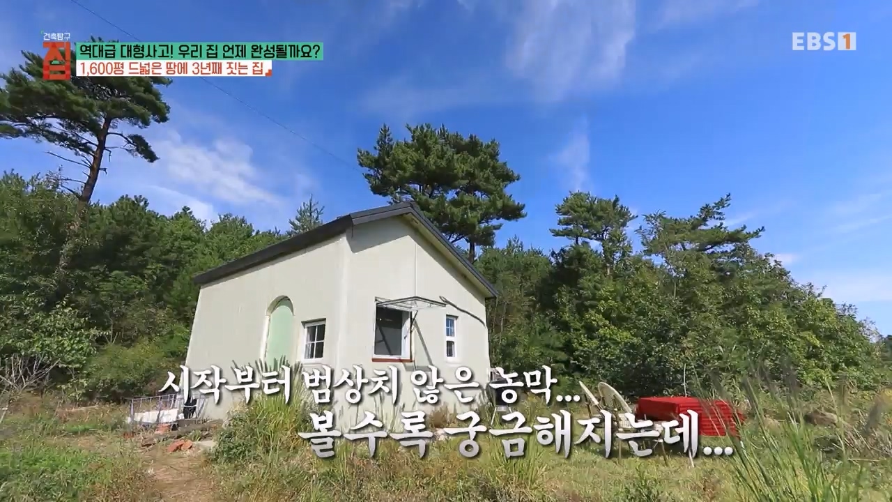 TV - 전 국민의 평생학교 EBS역대급 대형사고! 우리 집 언제 완성될까요-.mp4_20240125_204704.250.jpg