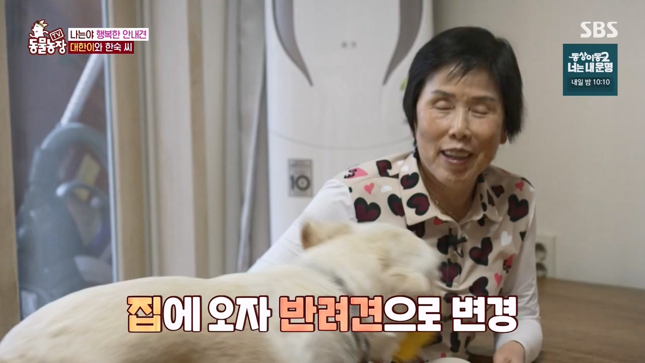 TV 동물농장.E1122.230529p-NEXT.mp4_20230528_170257.174.jpg