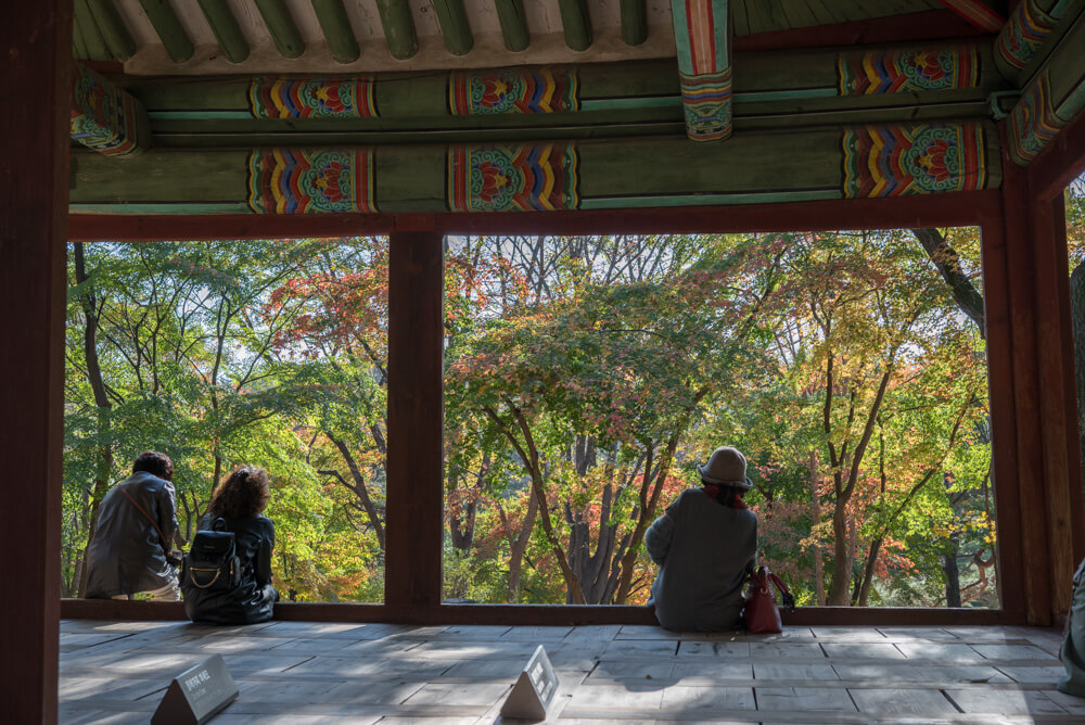 서울 단풍 명소 창경궁