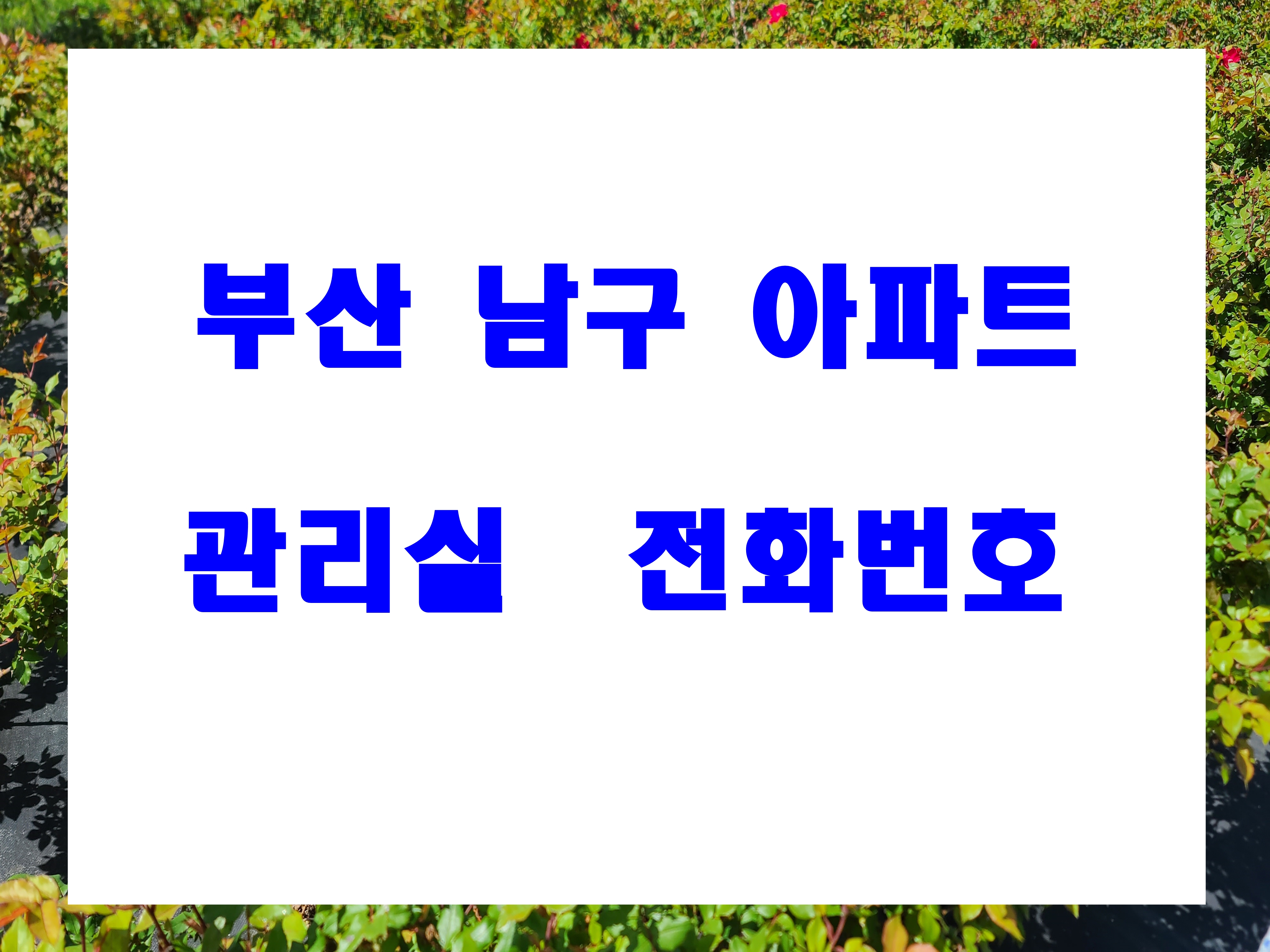  부산 남구 아파트 관리실 전화번호 대연동 문현동 용호동 우암동 감만동 용당동