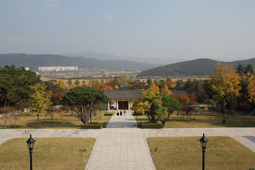 통일전에서 내려다본 은행나무와 풍경